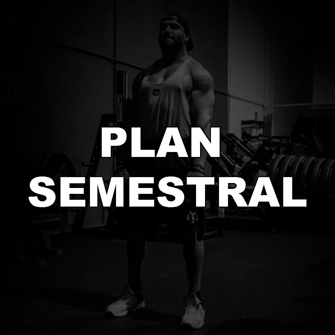 PLAN SEMESTRAL