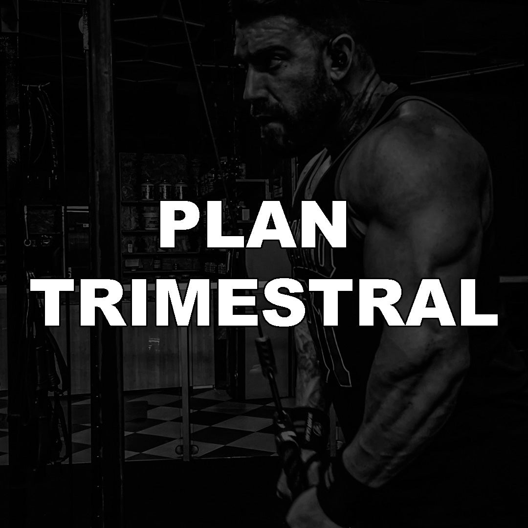 PLAN TRIMESTRAL