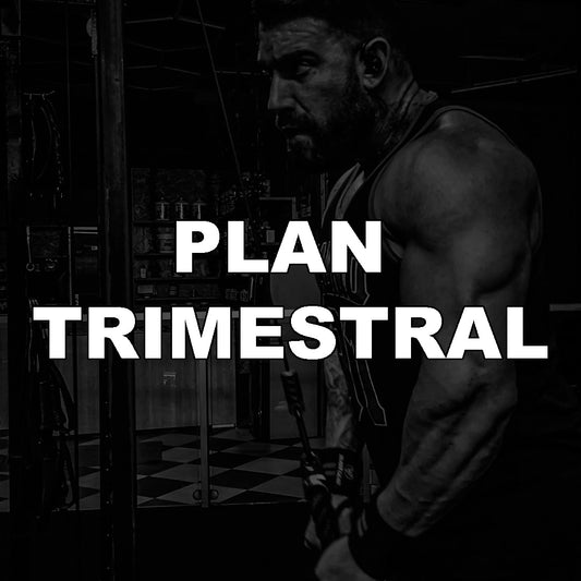 PLAN TRIMESTRAL